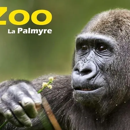 Coquillages & Crustaces Avec Piscine Chauffee & Alpesi faház