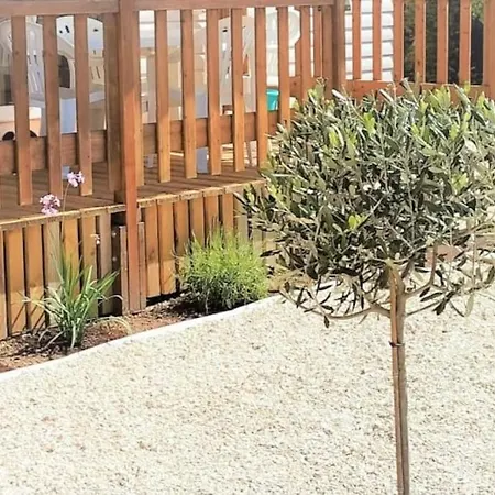 Coquillages & Crustaces Avec Piscine Chauffee & Marennes