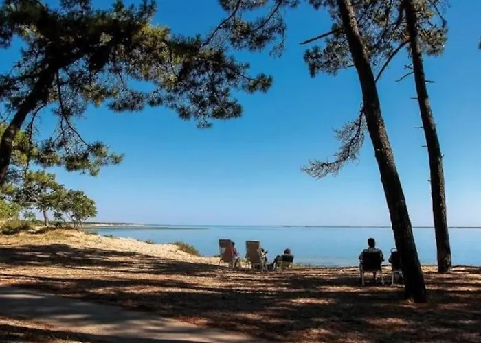 Coquillages&crustacés Avec Piscine Chauffée&plage Chalet *