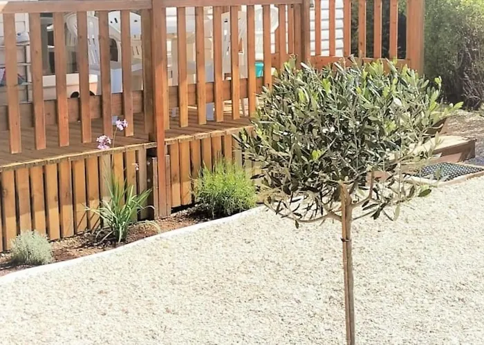 Coquillages&crustacés Avec Piscine Chauffée&plage Marennes (Charente-Maritime)