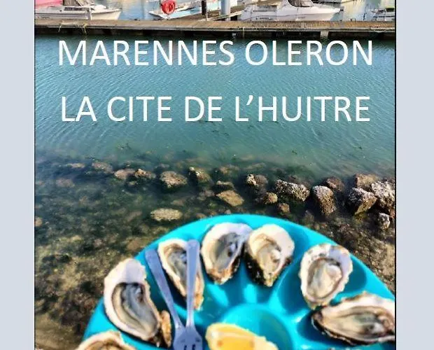 Chalet Coquillages&crustacés Avec Piscine Chauffée&plage *