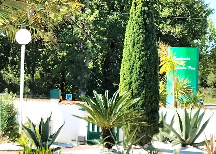 Coquillages&crustacés Avec Piscine Chauffée&plage Chalet *